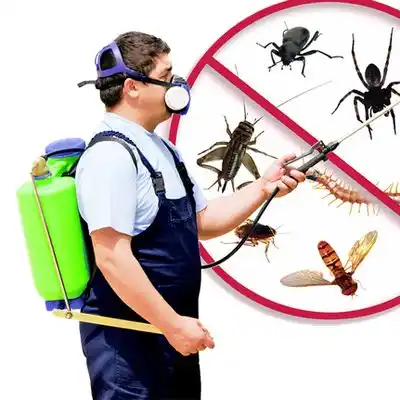 pest control Baden